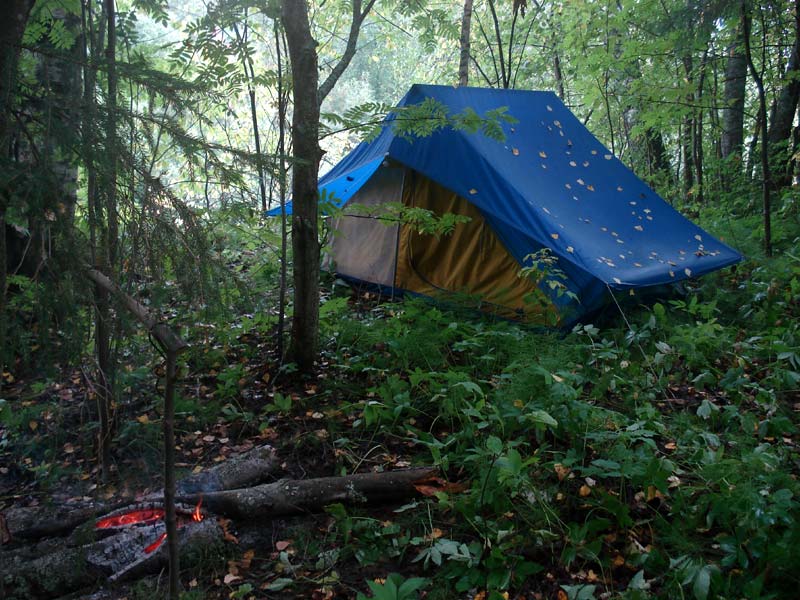 Алиментщица поселилась с детьми в палатке