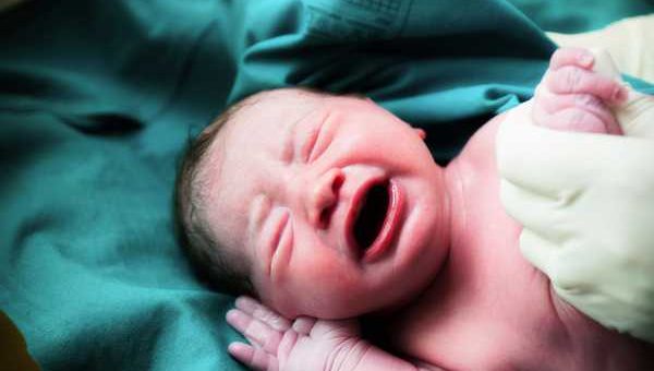 Удерживаются ли алименты на новорожденного при отказе