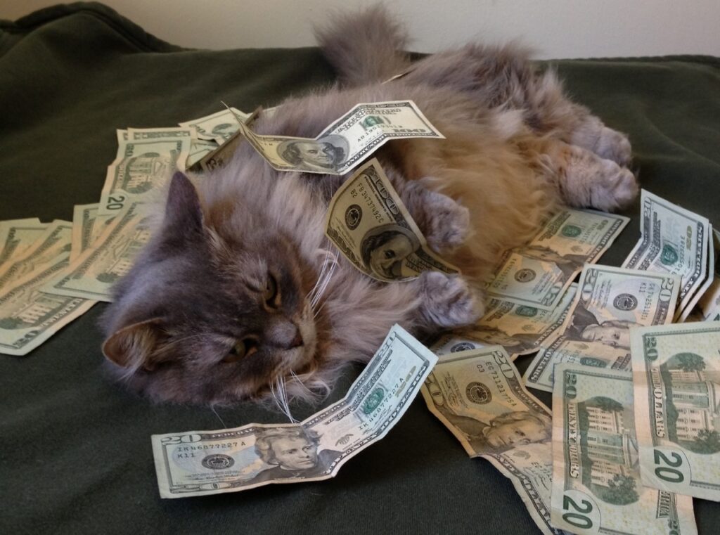 Реальны ли алиментные выплаты на кота
